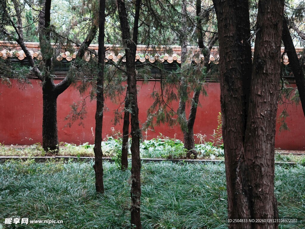 红墙绿树间的静谧景致