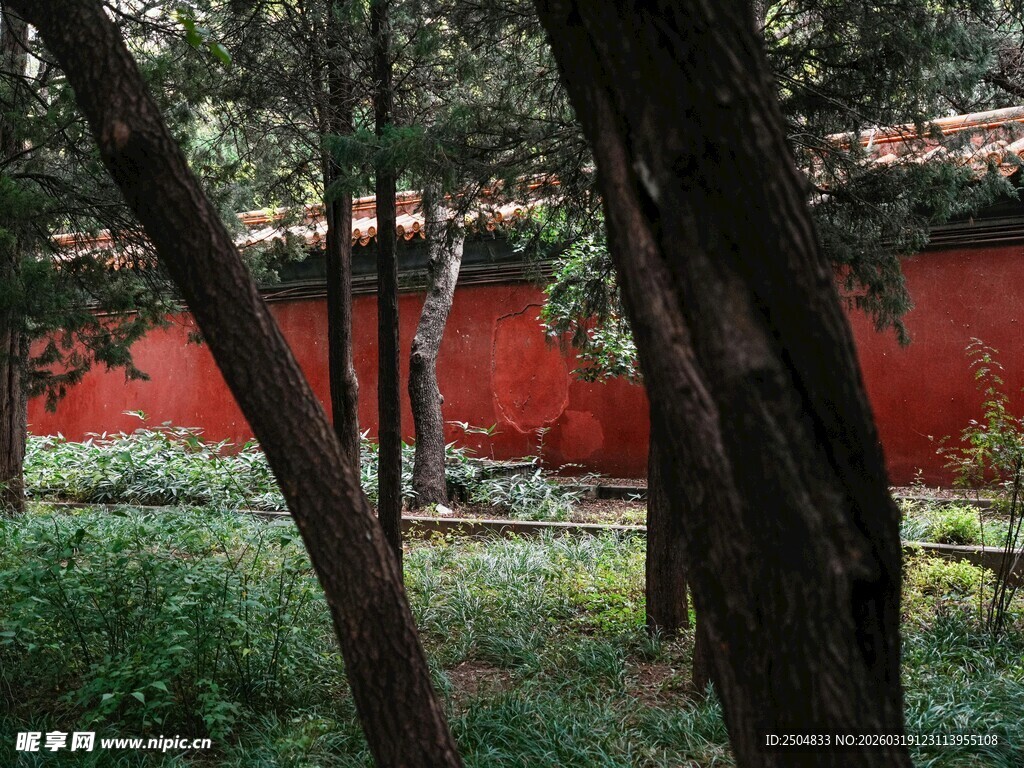红墙绿树间的静谧景致