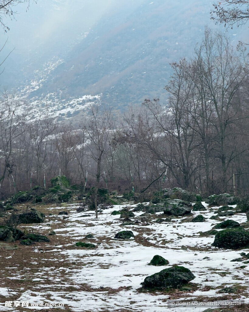冬日山林雪景中的岩石