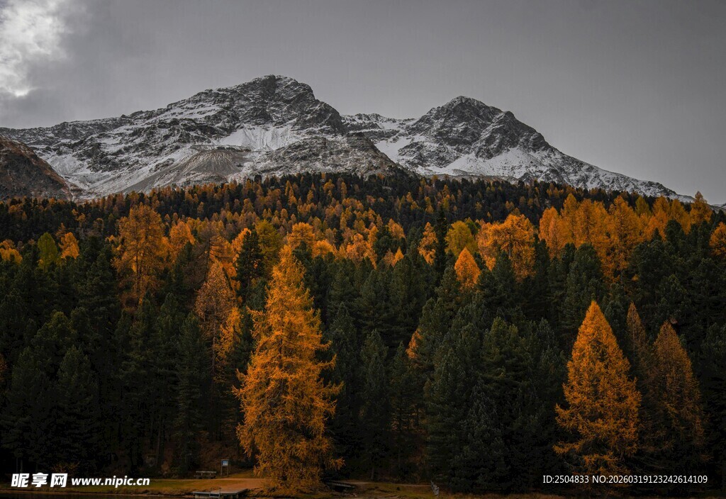 秋日山林中的巍峨雪山