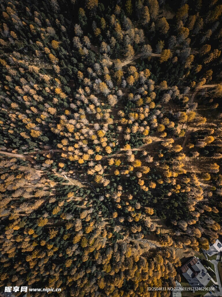 蜂巢内部结构特写