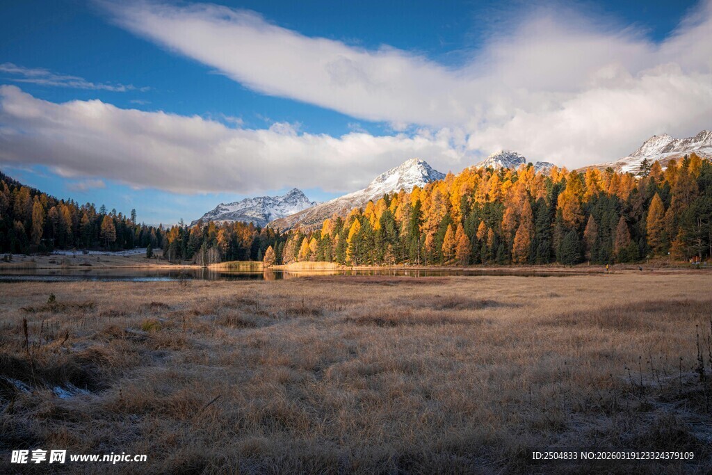 秋日旷野山林美景
