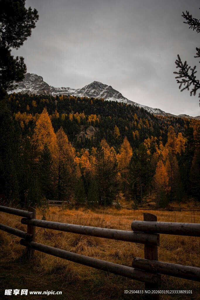 秋日山林木栏风景图