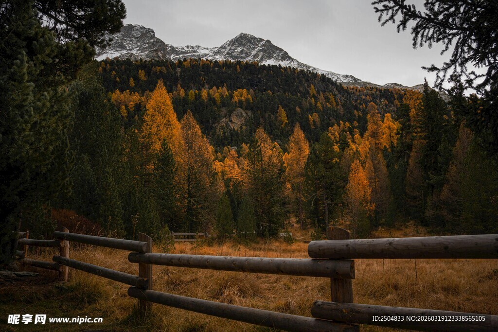 秋日山林木栏与远山美景