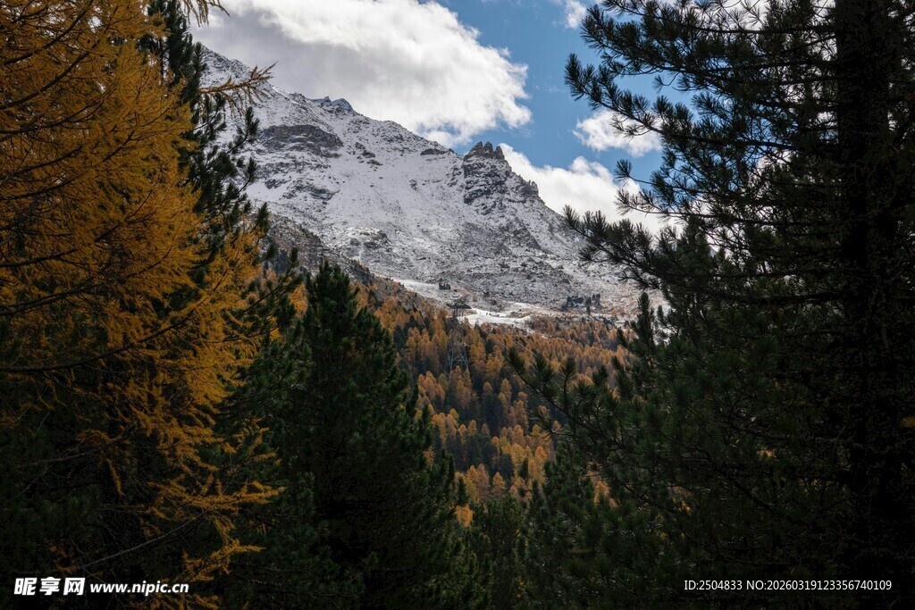 山林间的壮丽雪山景色
