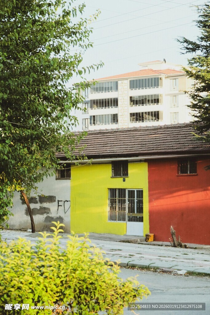 多彩小屋旁的清新景致