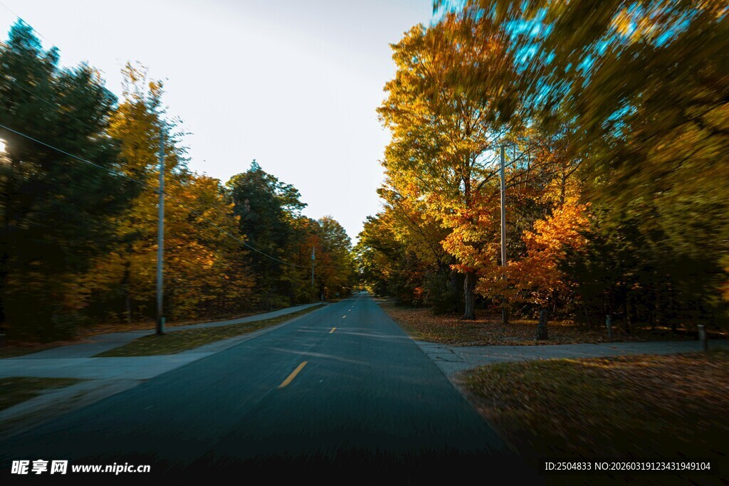 秋日林间公路美景