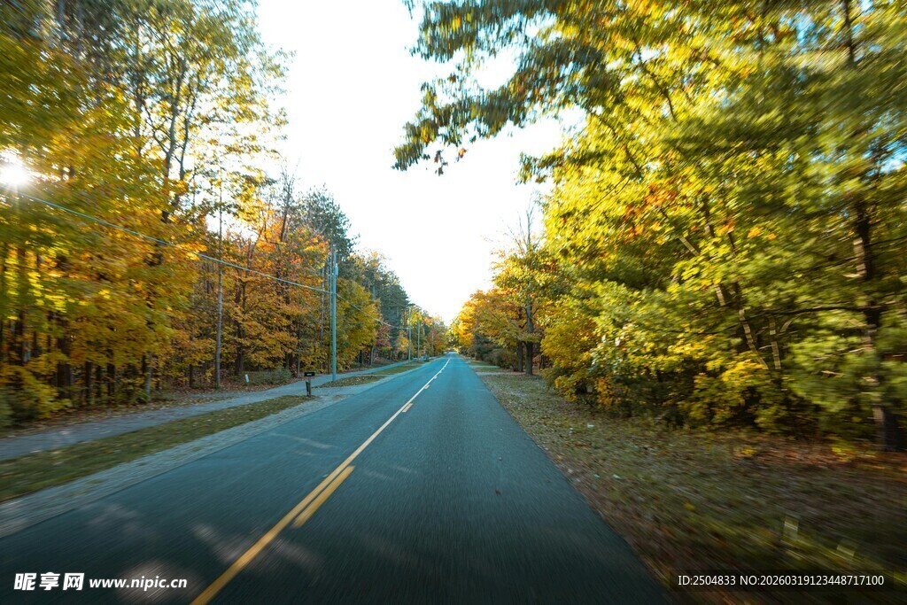 秋日林间公路美景