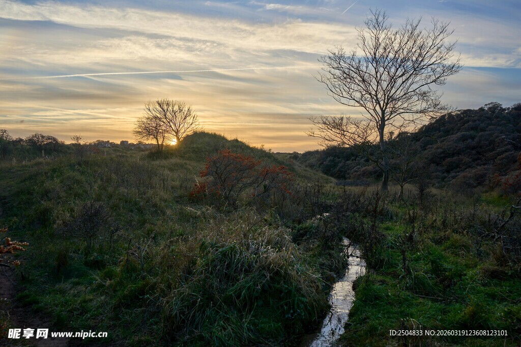 黄昏旷野中的孤树与围栏