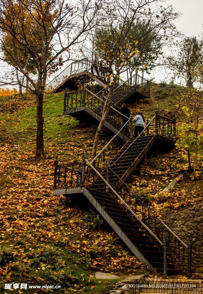 秋日林间的金属阶梯步道
