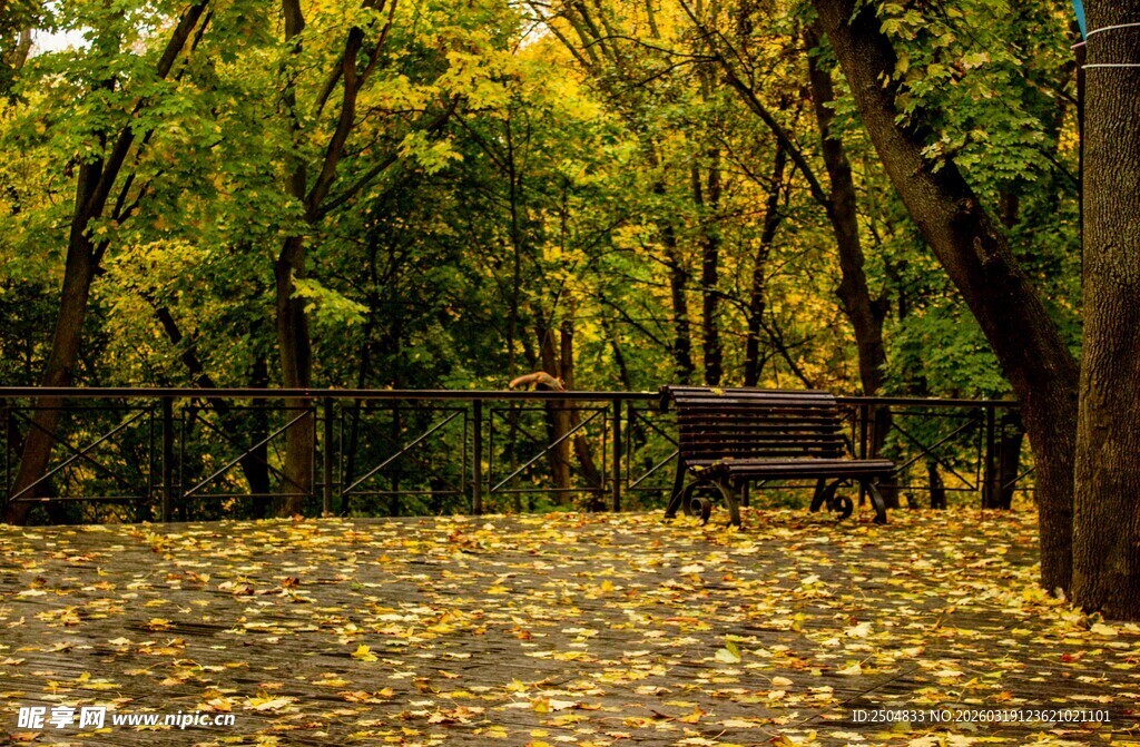 秋日林间长椅美景