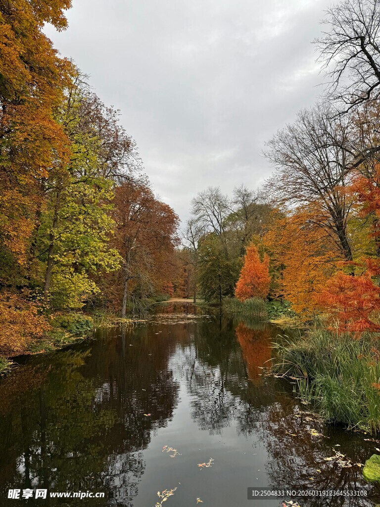 秋日湖畔斑斓树林景致