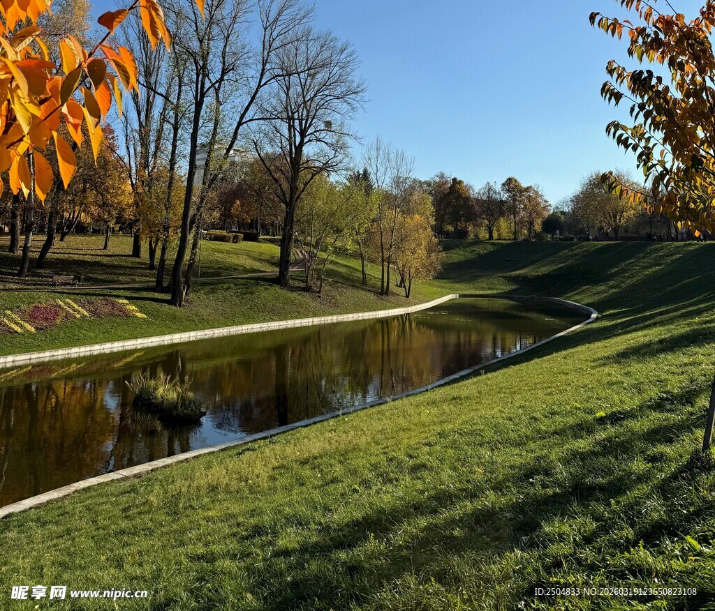 秋日公园的静谧小河景色