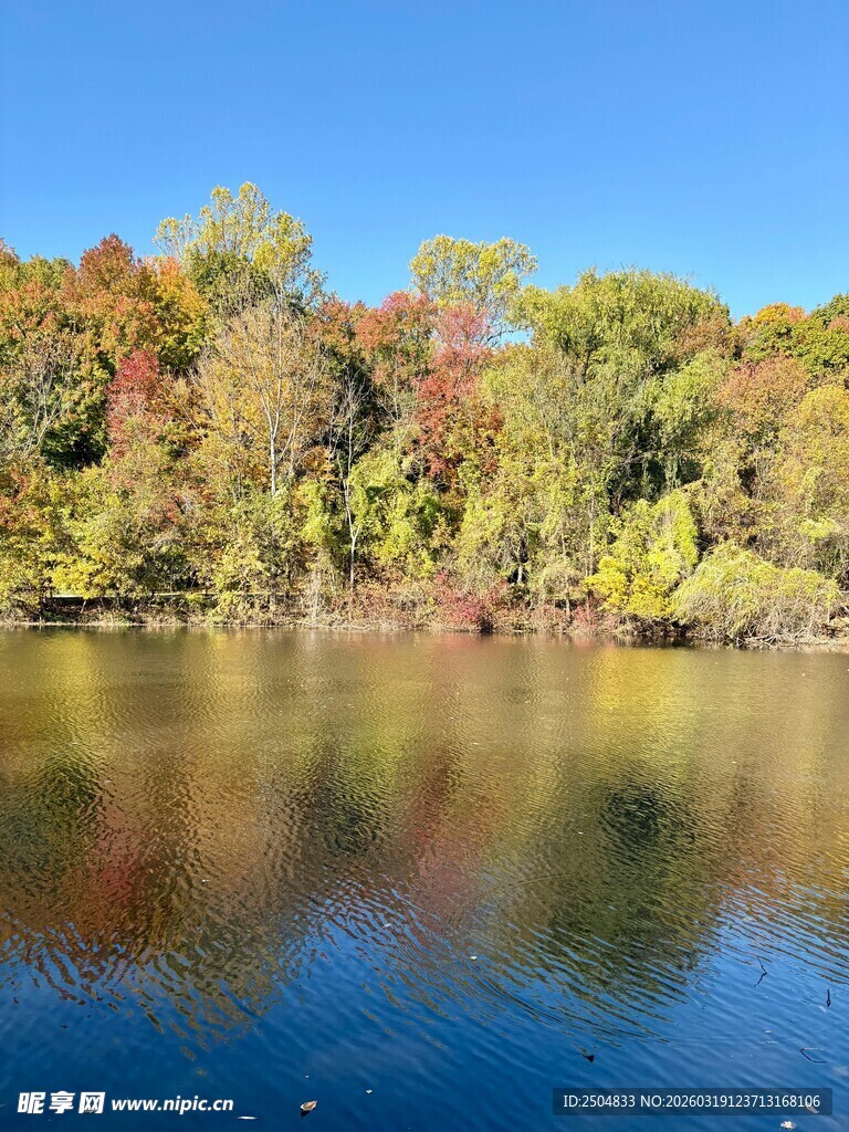 秋日湖畔斑斓美景