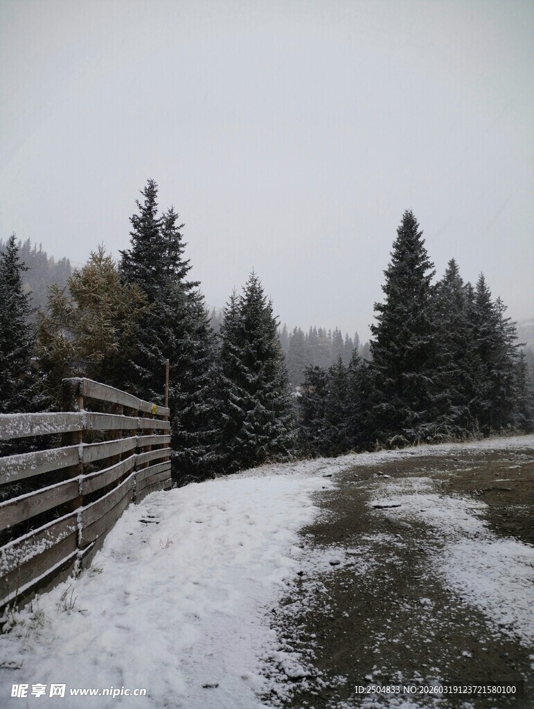 雪覆林间木栏冬日景致