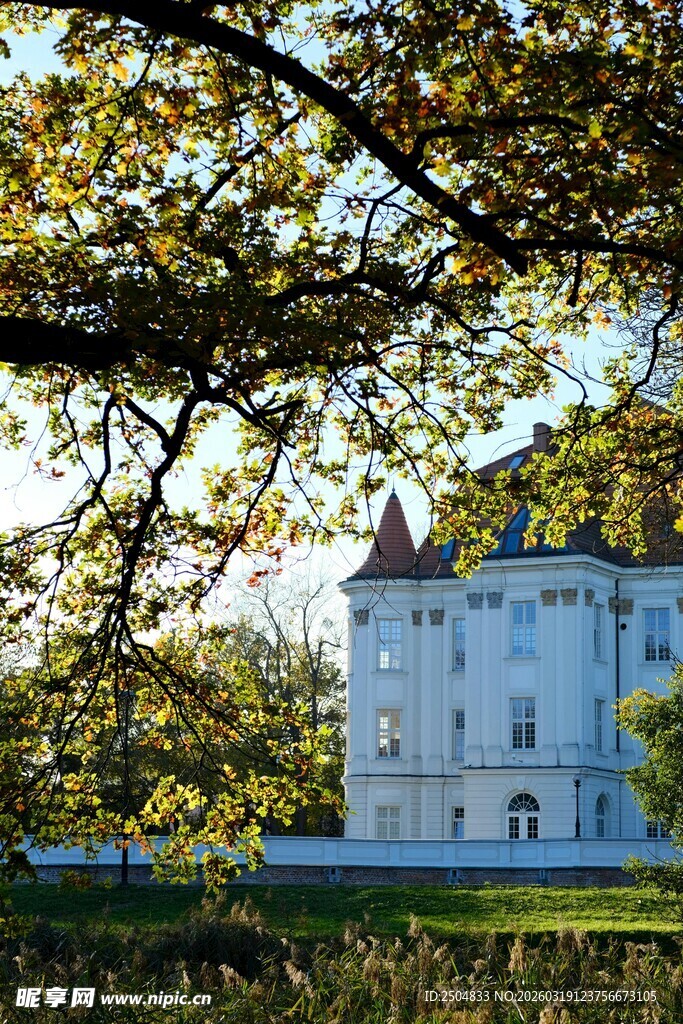 秋日城堡旁的葱郁树木