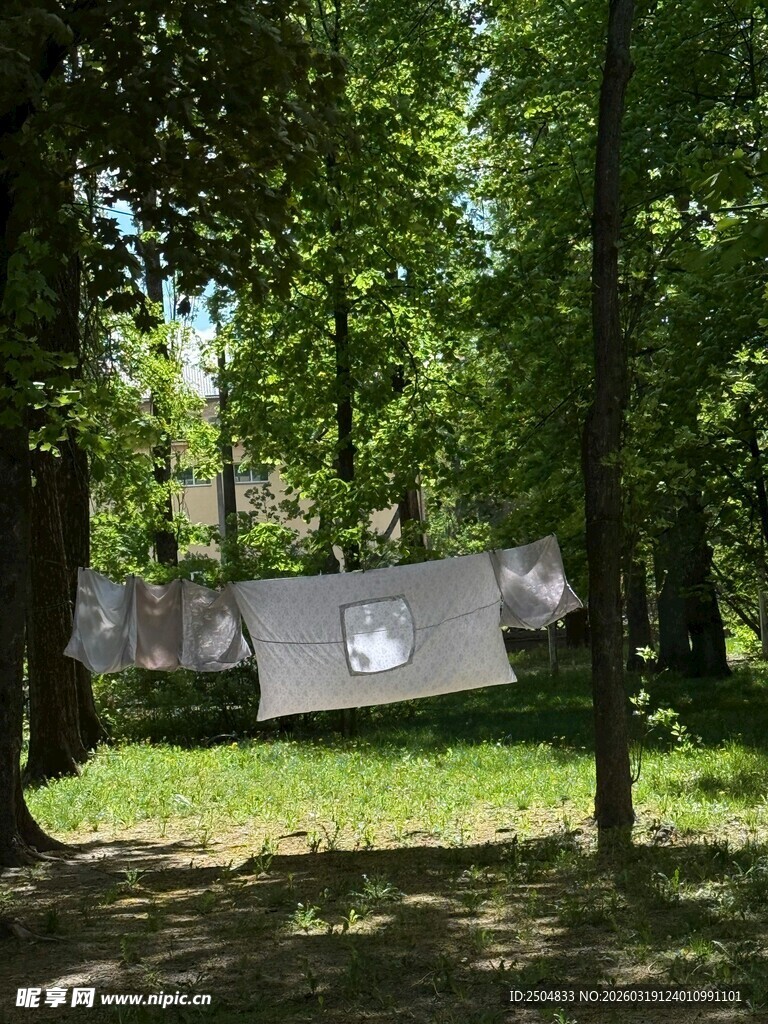 林间晾晒的白色衣物