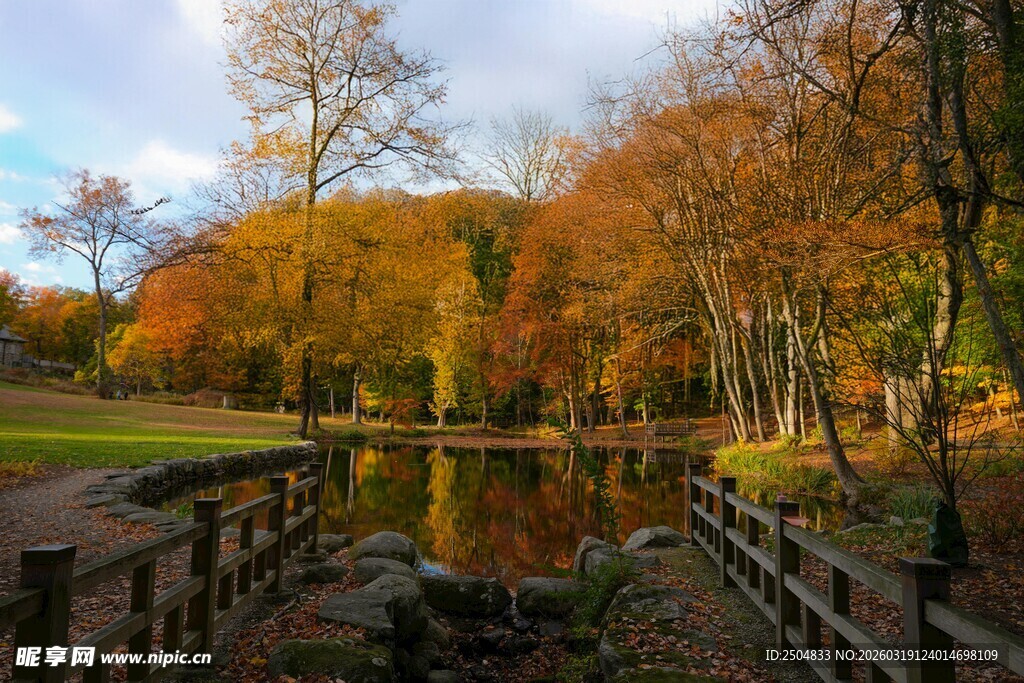 秋日湖畔树林美景