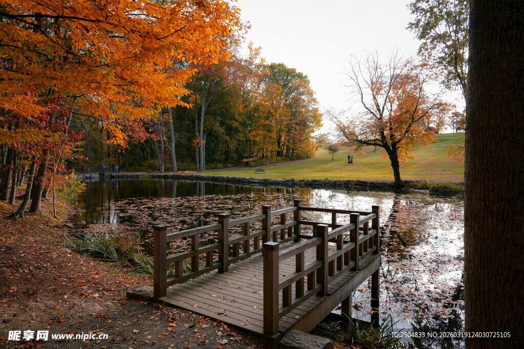 秋日湖边木桥景致