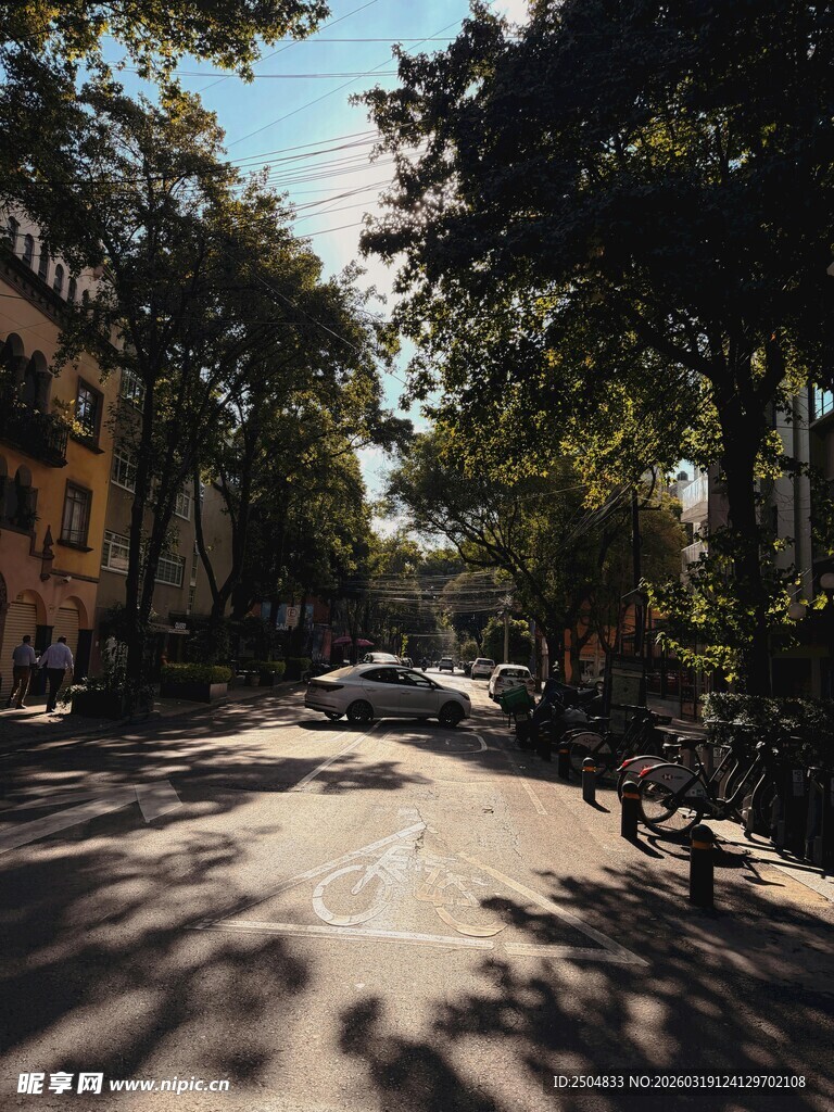 阳光洒落的静谧街道