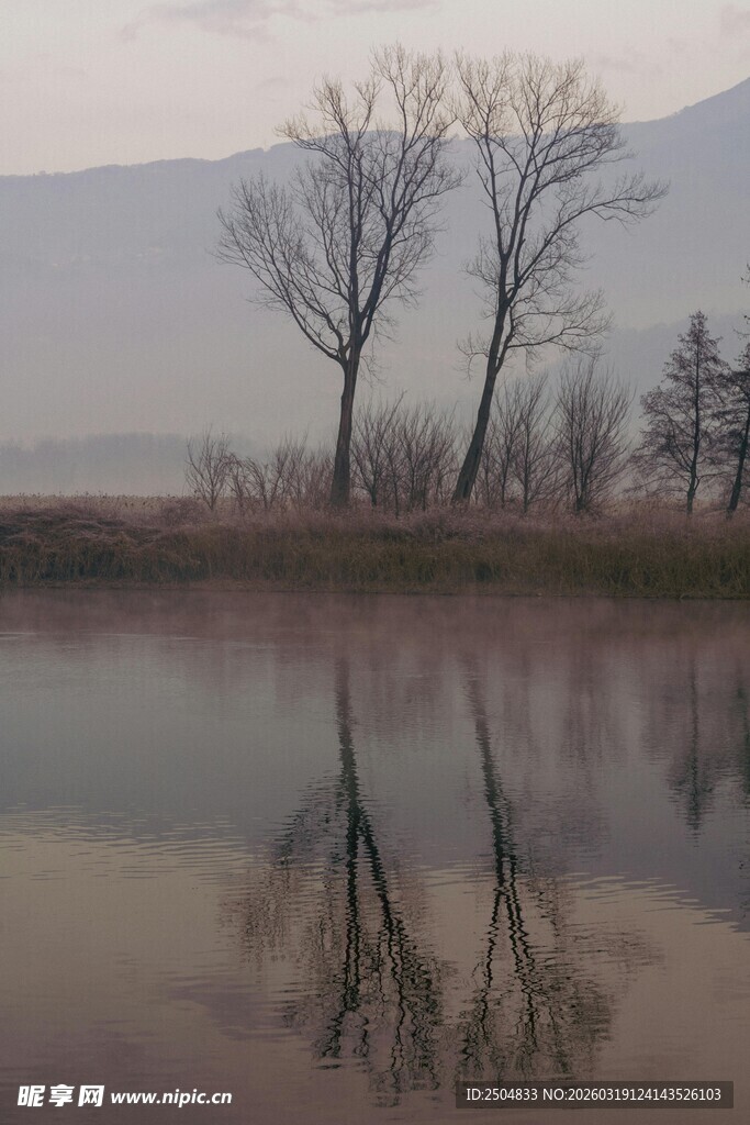 湖畔枯树倒影静谧景致