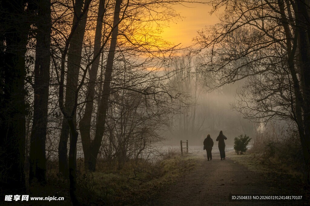 黄昏林间漫步的温馨场景