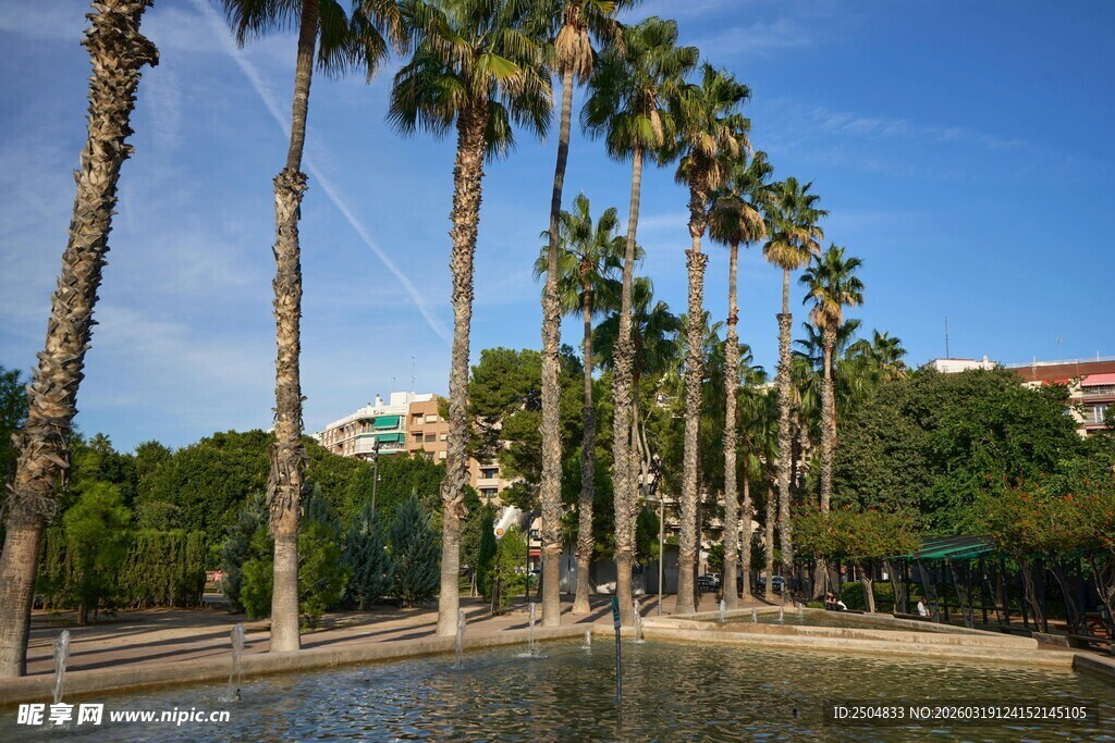 湖畔棕榈树景观
