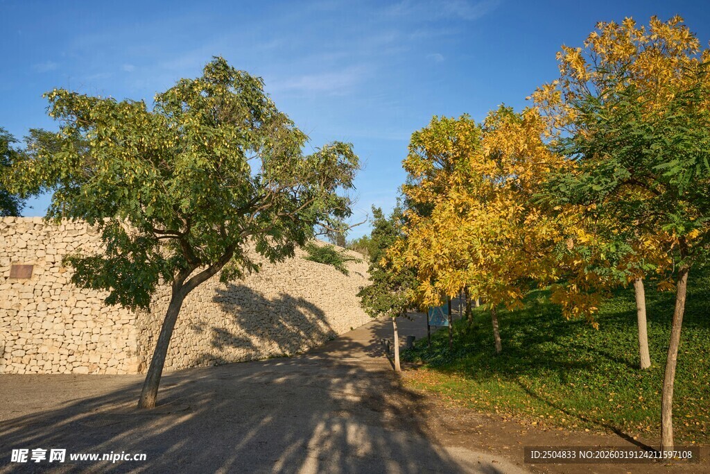 秋日路旁树木与石墙景致
