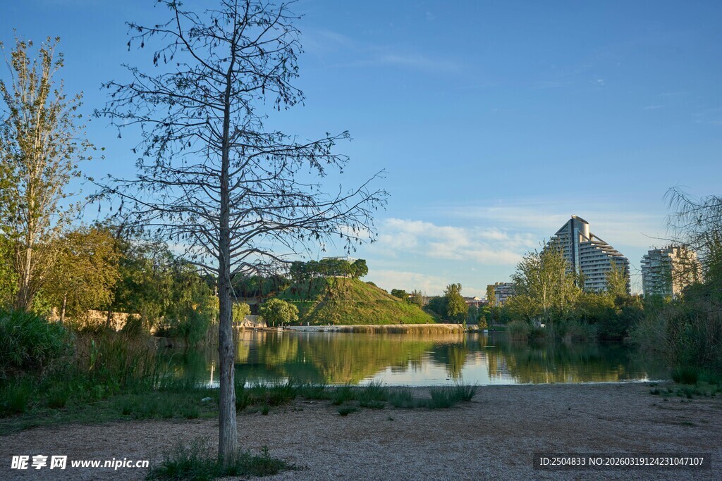 湖畔绿树环绕的宁静景致