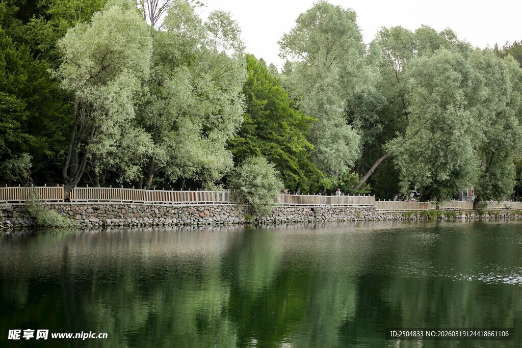 宁静湖畔绿树倒影美景