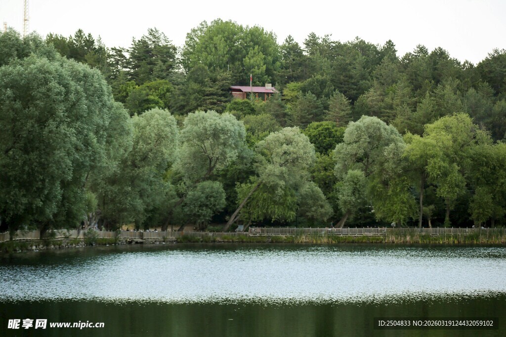 湖畔绿树成荫的自然美景