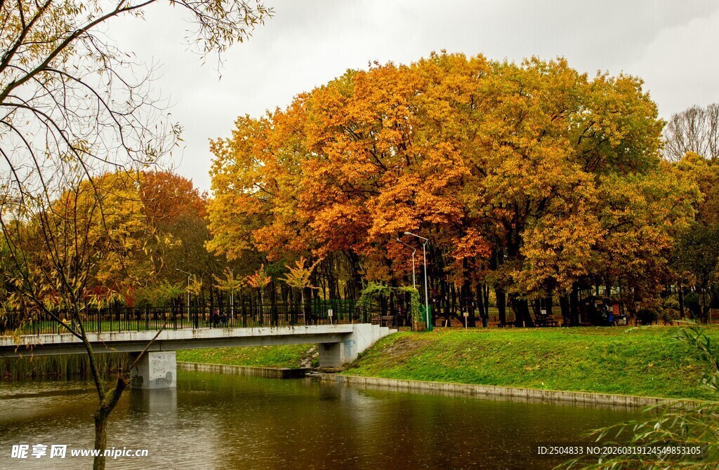 秋日湖畔桥景 斑斓秋色