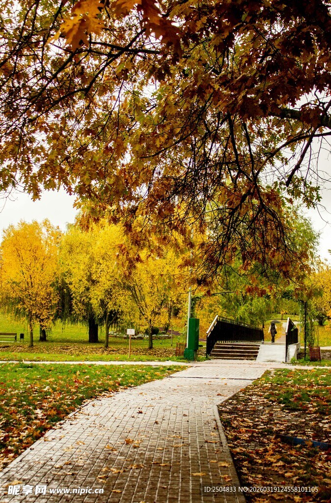 秋日公园小径美景
