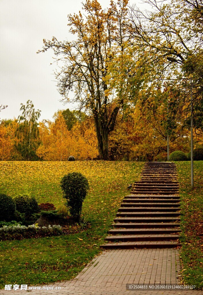 秋日公园中的石阶美景