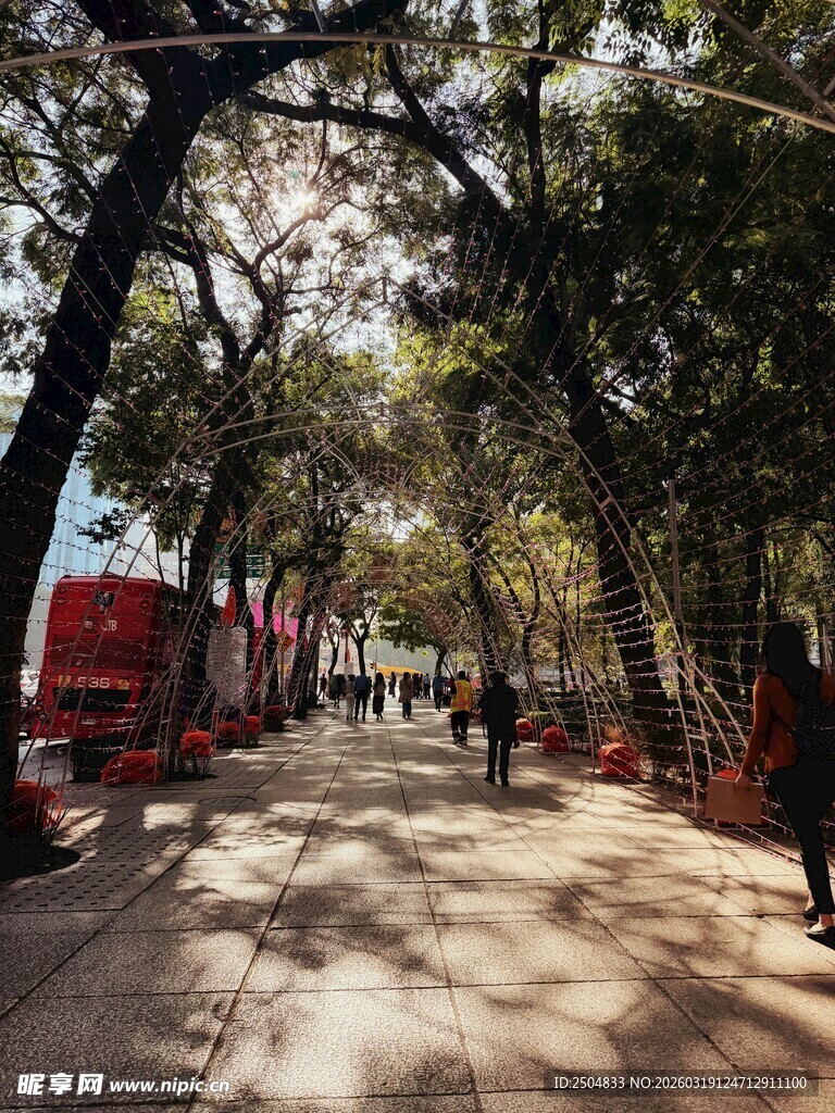 林荫下的静谧步行道