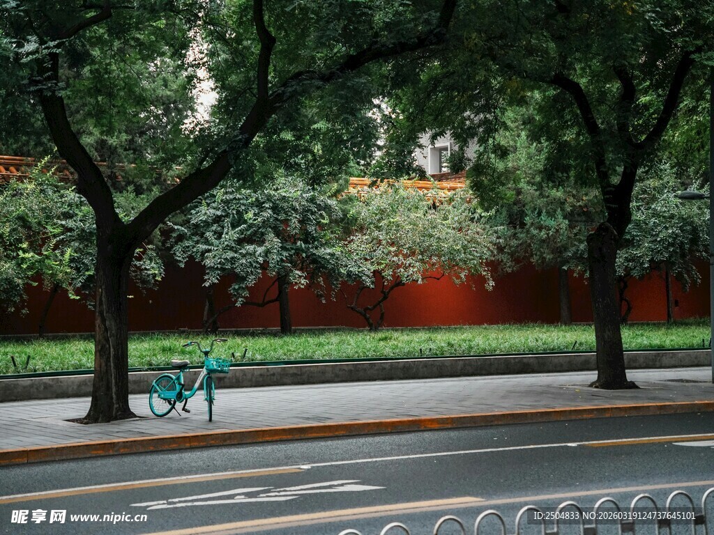 街边绿树红墙下的自行车