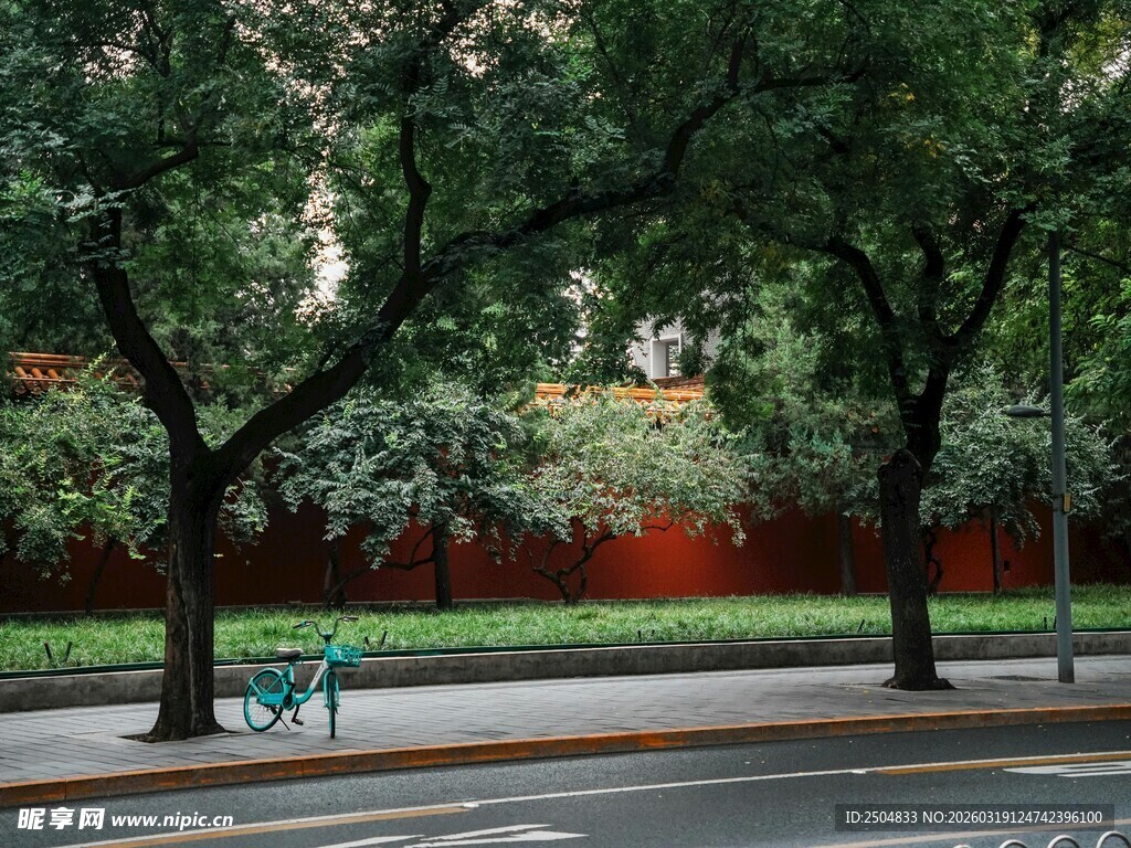 街边绿荫下的长椅景致