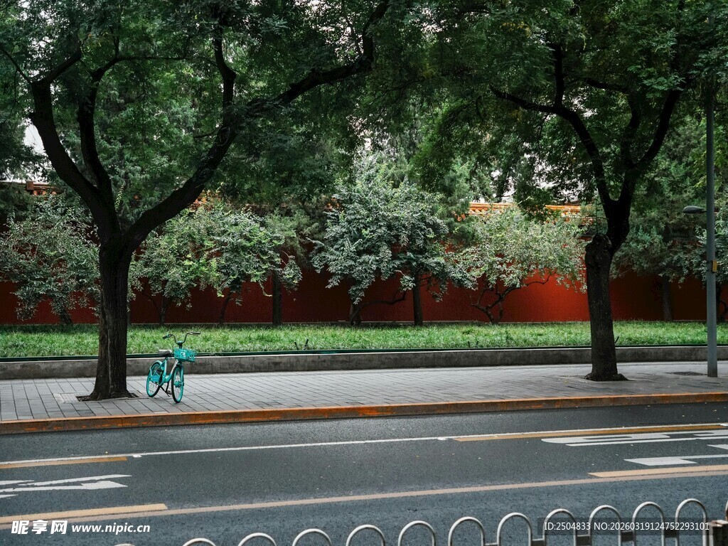 城市街边绿树红墙景致