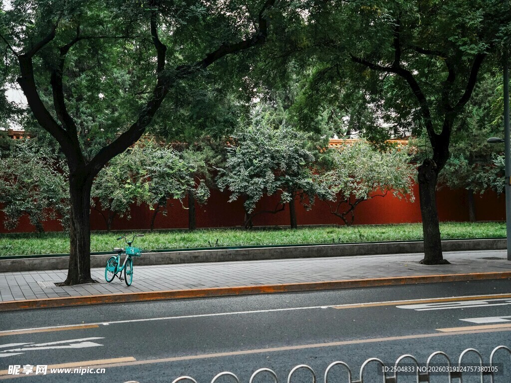 街边绿树红墙的宁静景致