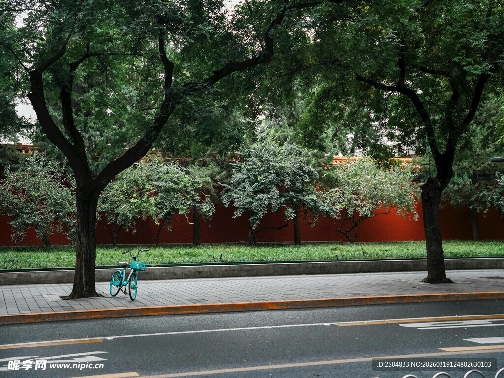 红墙绿树旁的静谧街道