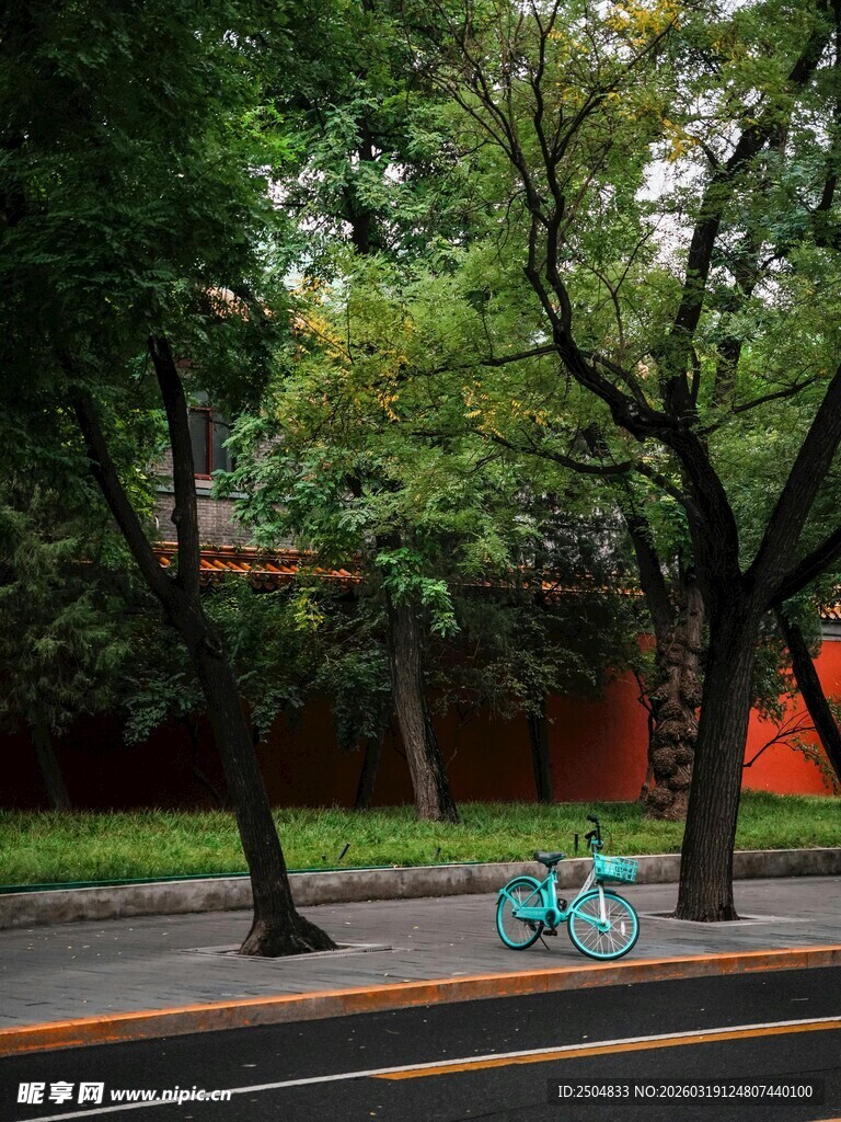 林荫道上的绿色自行车