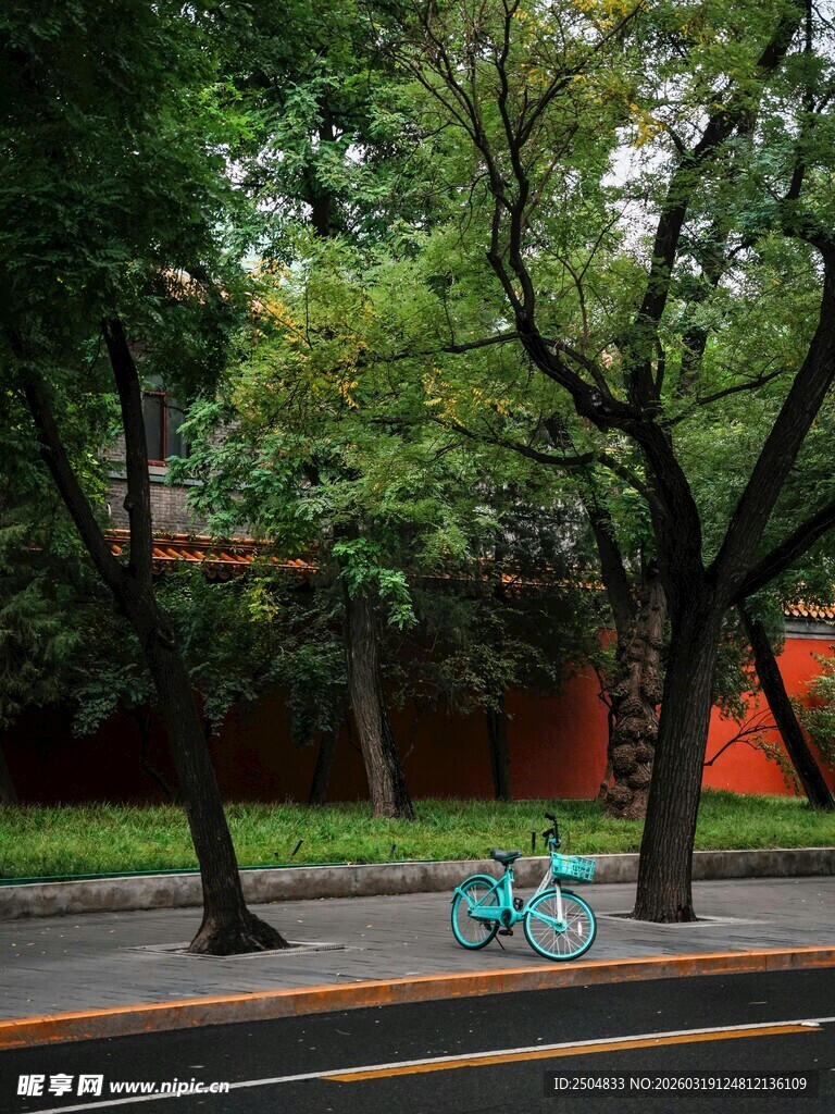 绿荫下的单车与红墙景致