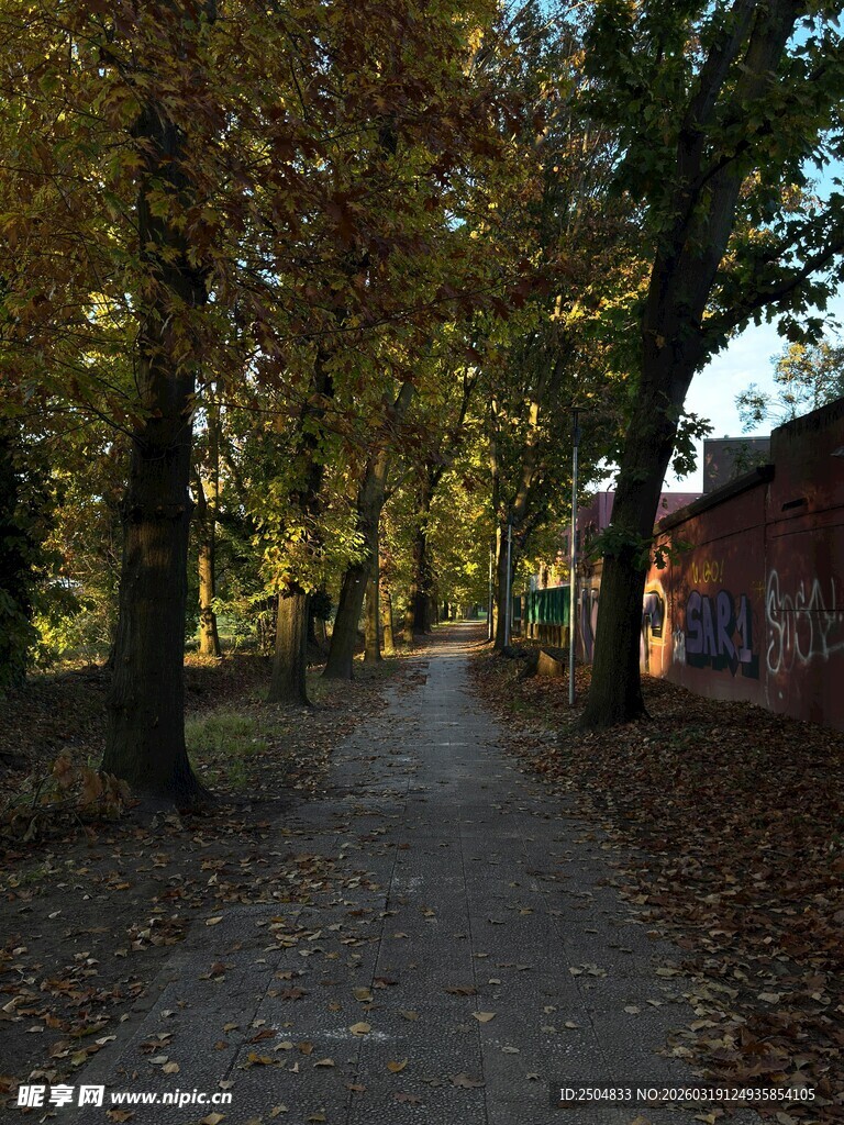 秋日林间幽静小路