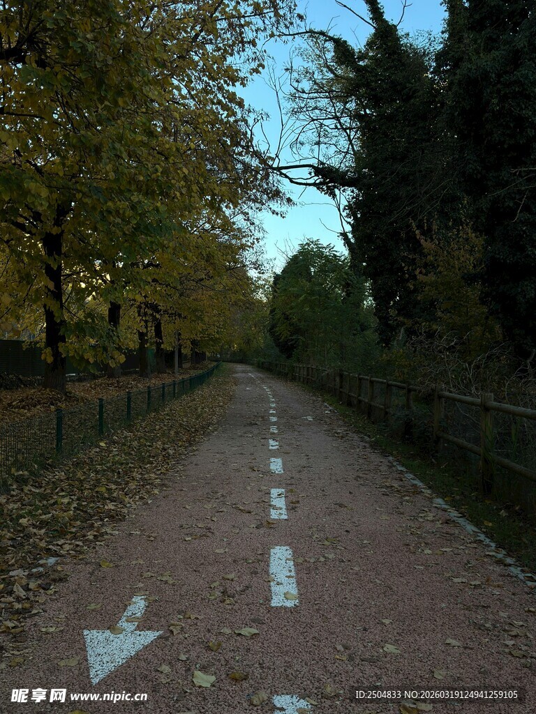 林间分岔小路 方向之选
