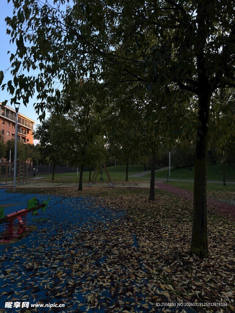 秋日公园静谧树林场景