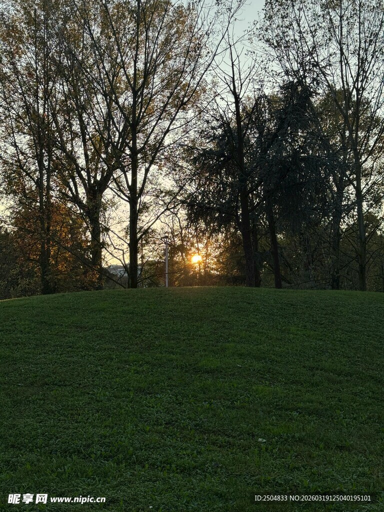 夕阳下的草地与树木
