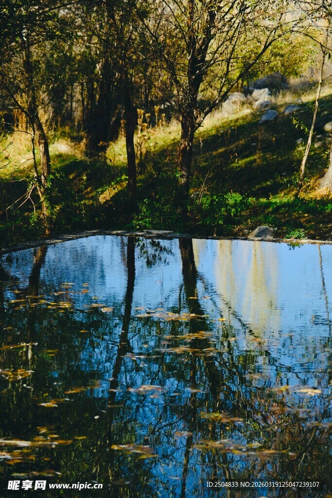 秋日湖畔树影倒映美景