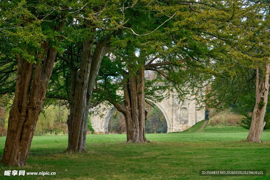 林间草地与古朴石墙风景
