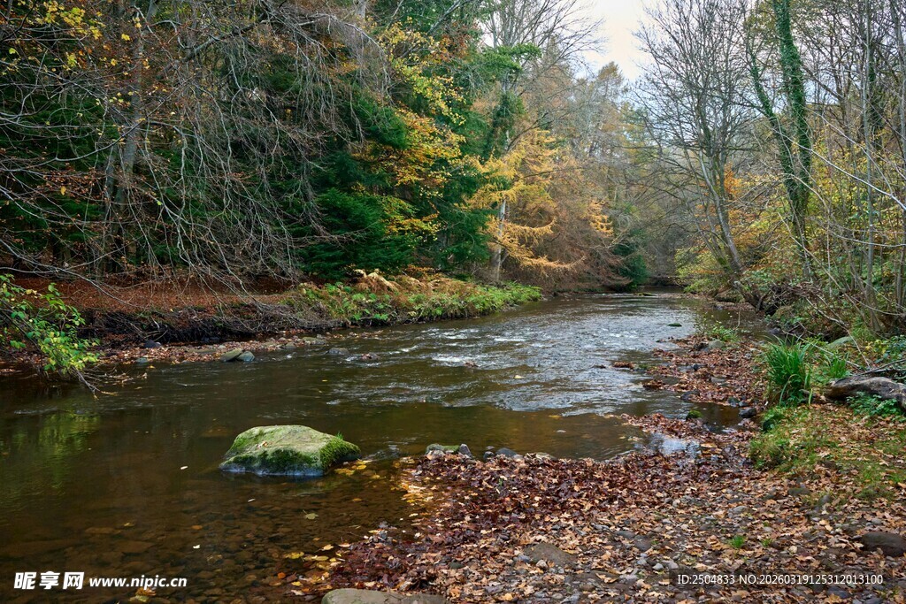 秋日溪边景色