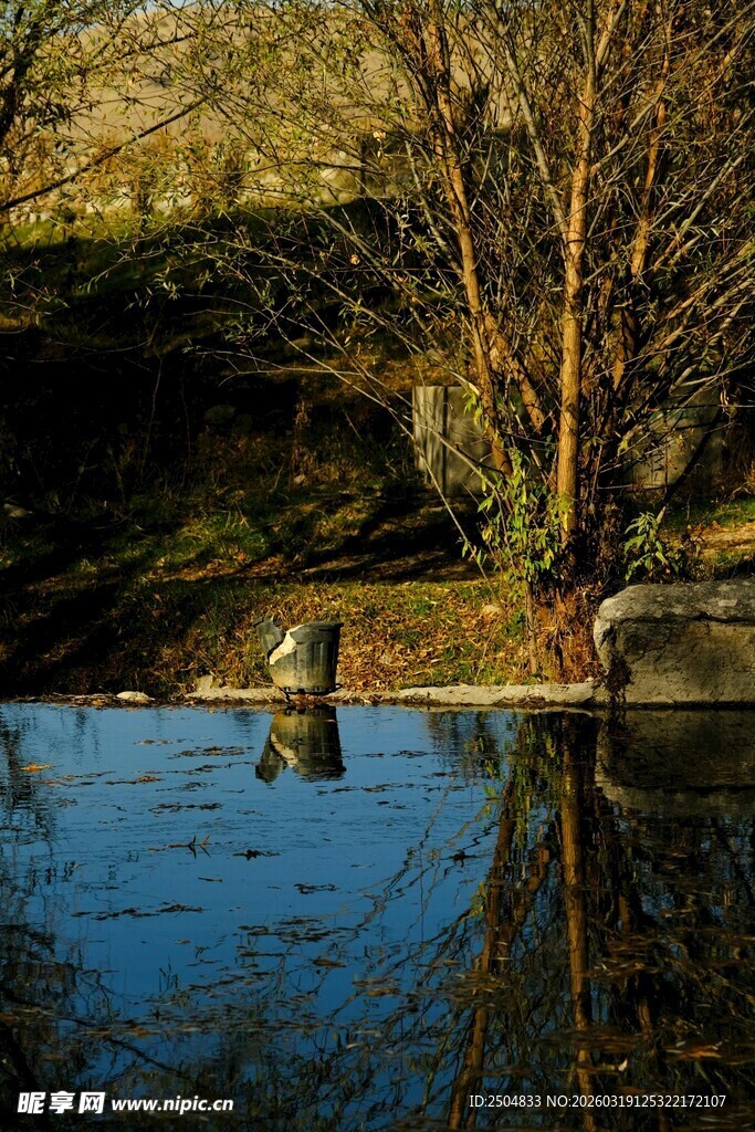 秋日池塘边的静谧景致